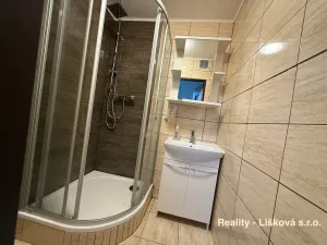 Pronájem bytu 2+1, Ústí nad Labem - Střekov, Tolstého, 63 m2