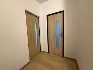 Pronájem bytu 2+1, Ústí nad Labem - Střekov, Tolstého, 63 m2