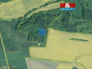 Prodej lesa, Třešovice, 4545 m2