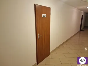 Prodej ubytování, Praha, Plzeňská, 35 m2