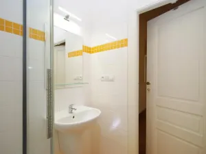 Pronájem bytu 2+1, Praha - Vinohrady, Mánesova, 79 m2