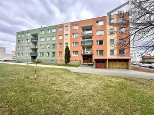 Pronájem bytu 1+1, Bor, Borská, 48 m2