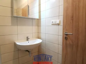 Pronájem bytu 1+1, České Budějovice - České Budějovice 3, 31 m2