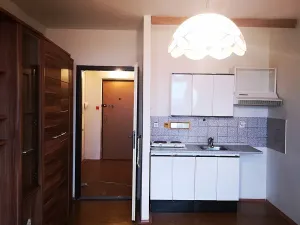 Prodej bytu 1+kk, Ostrava, Gen. Píky, 29 m2