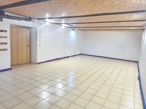 Pronájem skladu, Bořanovice, Hlavní, 119 m2