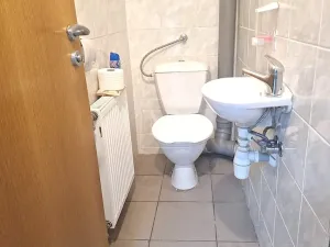 Pronájem skladu, Bořanovice, Hlavní, 119 m2