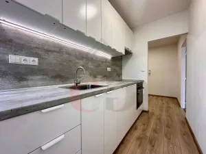 Pronájem bytu 1+1, Třemošná, Luční, 40 m2