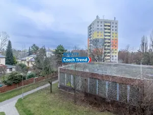 Pronájem bytu 3+1, Olomouc, Hraniční, 73 m2