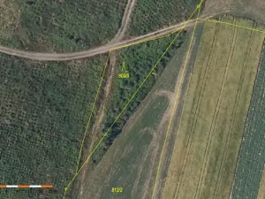 Prodej lesa, Česká Bělá, 7690 m2