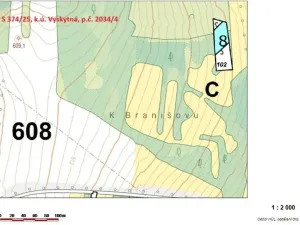 Prodej lesa, Vyskytná, 2174 m2