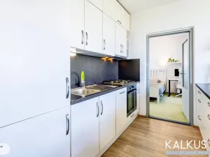 Prodej bytu 3+kk, Hradec Králové - Nový Hradec Králové, Durychova, 59 m2