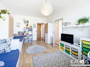 Prodej bytu 3+kk, Hradec Králové - Nový Hradec Králové, Durychova, 59 m2