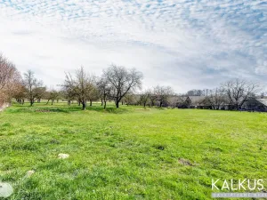 Prodej rodinného domu, Hřibojedy, 112 m2