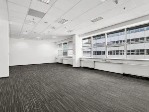 Pronájem kanceláře, Praha - Smíchov, Radlická, 495 m2