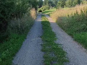 Prodej zahrady, Uherský Brod, 1078 m2