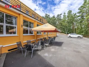 Prodej rodinného domu, Doksy, Pod Borným, 1700 m2