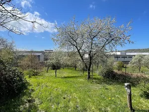 Prodej rodinného domu, Uherský Brod, Brodská, 130 m2