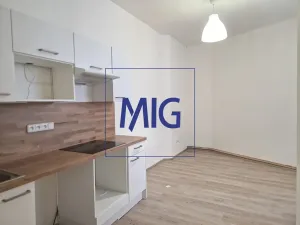 Pronájem bytu 2+kk, Holasice, Brněnská, 36 m2