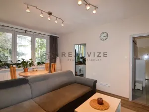 Pronájem bytu 3+1, České Budějovice, J. Plachty, 67 m2