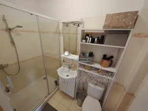 Pronájem bytu 2+1, České Budějovice, L. B. Schneidera, 54 m2