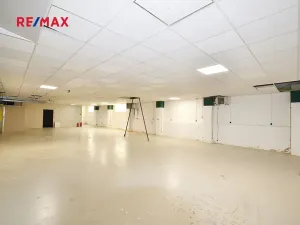 Pronájem obchodního prostoru, Frýdek-Místek, Třebízského, 200 m2