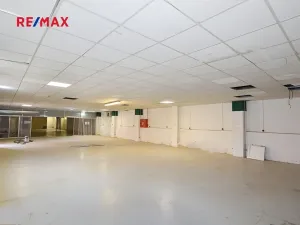 Pronájem obchodního prostoru, Frýdek-Místek, Třebízského, 220 m2