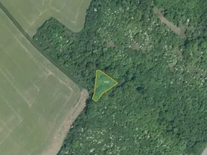 Prodej louky, Nedachlebice, 16411 m2