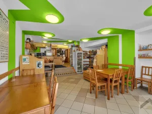 Prodej komerční nemovitosti, Litomyšl, Havlíčkova, 295 m2