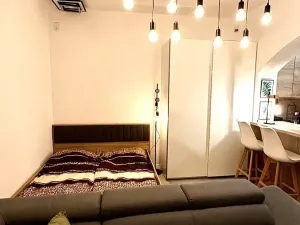 Pronájem bytu 1+kk, Praha - Libeň, Konšelská, 34 m2