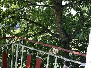 Prodej rodinného domu, Jistebník, 328 m2