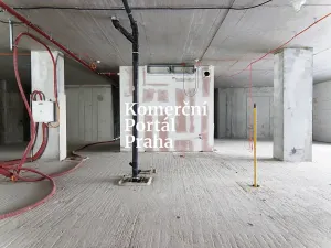 Pronájem restaurace, Praha - Nusle, Lomnického, 470 m2