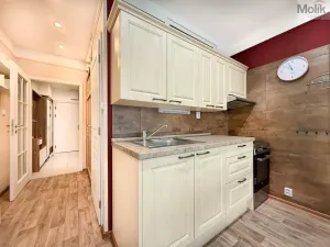 Pronájem bytu 1+kk, Teplice, U divadla, 38 m2