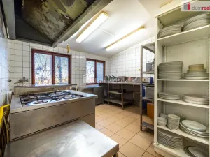 Prodej restaurace, Boršov nad Vltavou - Poříčí, Na Výši, 297 m2