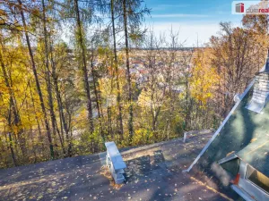 Prodej restaurace, Boršov nad Vltavou - Poříčí, Na Výši, 297 m2