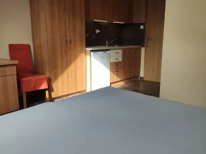 Pronájem bytu 1+kk, Uherské Hradiště, Velehradská třída, 25 m2