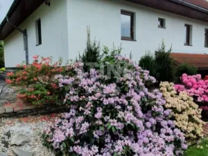 Prodej ubytování, Široká Niva, 268 m2