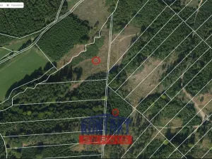 Prodej lesa, Jevíčko, 70821 m2