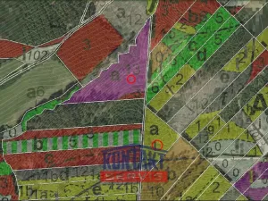 Prodej lesa, Jevíčko, 70821 m2