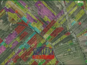 Prodej lesa, Jevíčko, 70821 m2