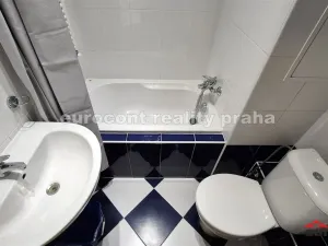 Pronájem bytu 1+kk, Praha - Vršovice, Přípotoční, 29 m2