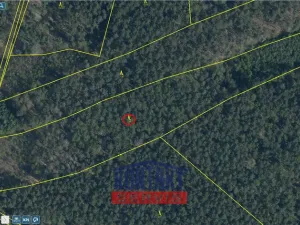 Prodej lesa, Bítouchov, 100105 m2