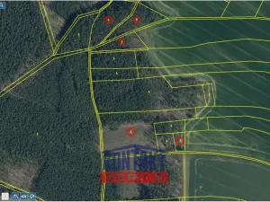 Prodej lesa, Bítouchov, 100105 m2