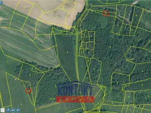 Prodej lesa, Čepřovice, 2819 m2