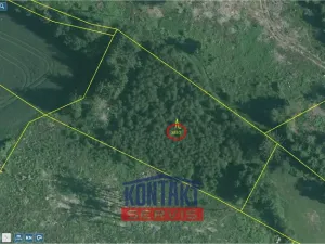 Prodej lesa, Studená - Horní Pole, 47225 m2