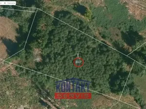 Prodej lesa, Studená - Horní Pole, 47225 m2