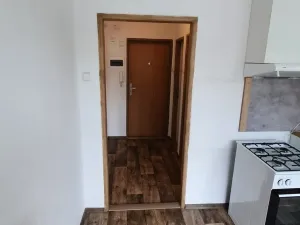 Pronájem bytu 1+1, Sokolov, Karla Havlíčka Borovského, 42 m2