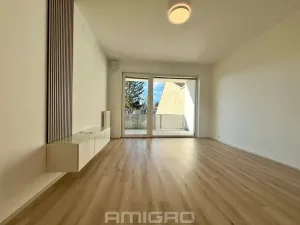 Pronájem bytu 1+kk, Brno, Gajdošova, 33 m2