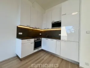 Pronájem bytu 1+kk, Brno, Gajdošova, 33 m2