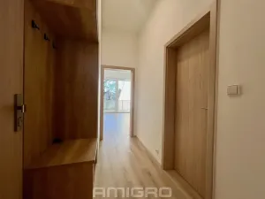 Pronájem bytu 1+kk, Brno, Gajdošova, 33 m2