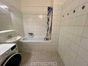 Pronájem bytu 1+1, Brno, Cihlářská, 49 m2